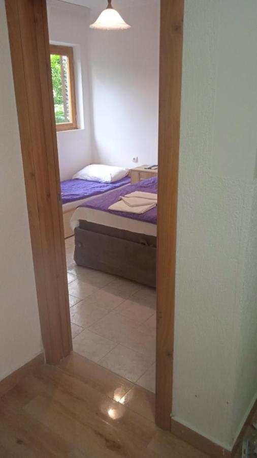 Apartments Jovana Petrovac Extérieur photo